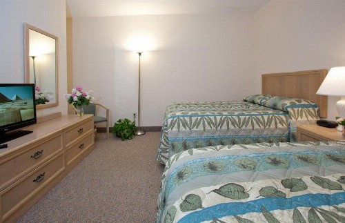 Lotus Inn - image 2
