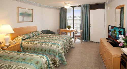 Lotus Inn - image 20