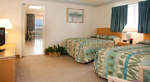 Lotus Inn - image 29