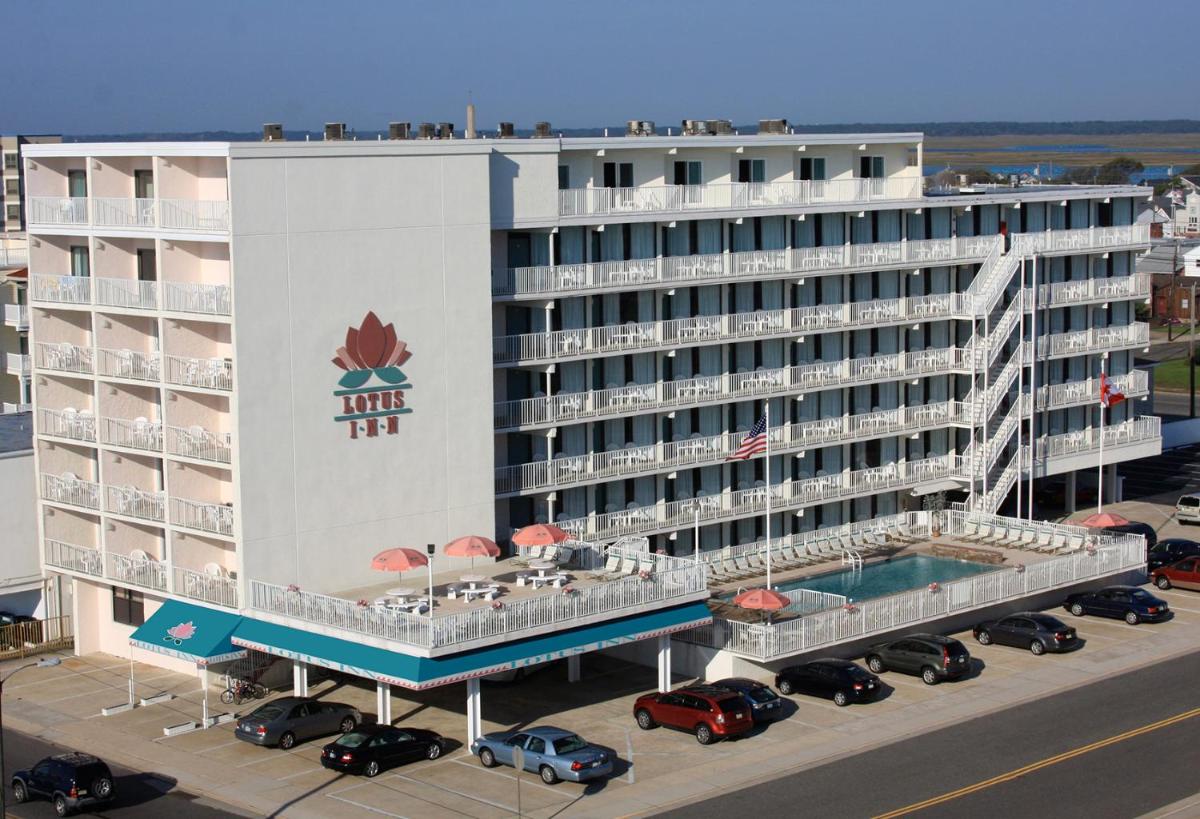 Lotus Inn - image 3