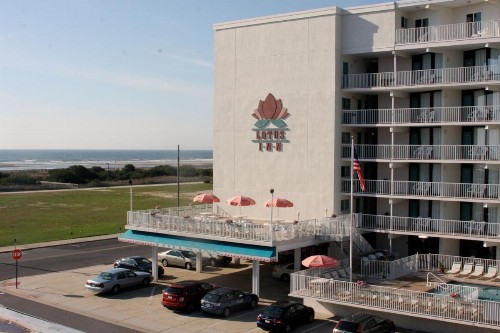 Lotus Inn - image 32