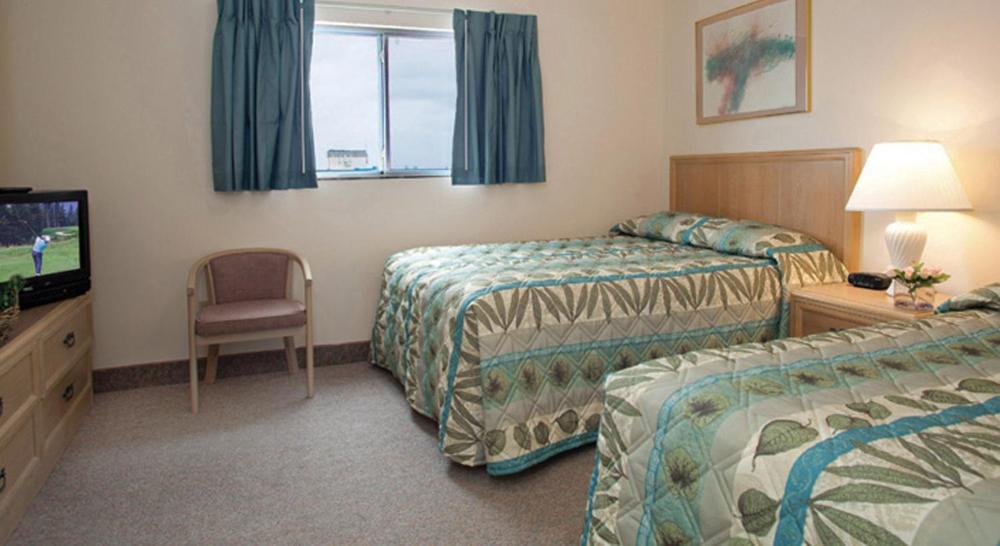 Lotus Inn - image 5