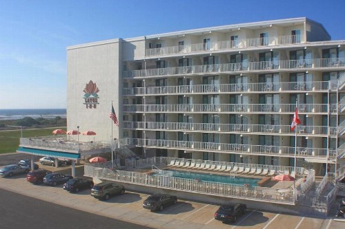 Lotus Inn - image 7