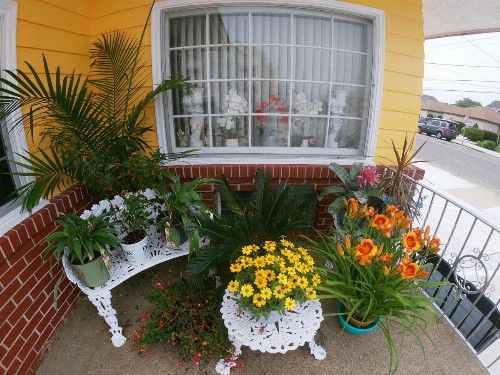 Sea Chest Motel - image 18