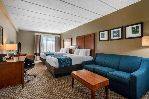 Comfort Inn & Suites Wildwood – The Villages - image 11