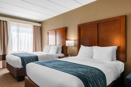Comfort Inn & Suites Wildwood – The Villages - image 13