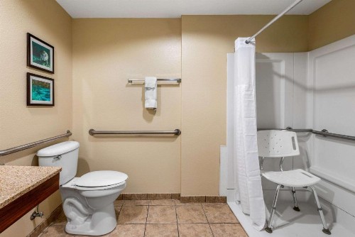 Comfort Inn & Suites Wildwood – The Villages - image 15