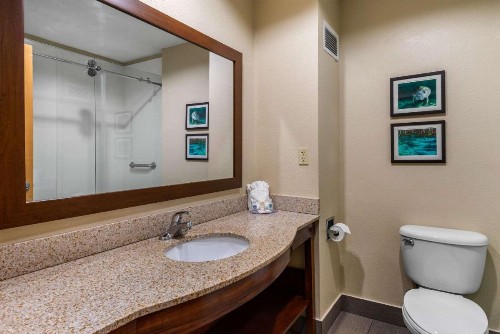Comfort Inn & Suites Wildwood – The Villages - image 16