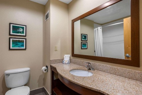 Comfort Inn & Suites Wildwood – The Villages - image 6