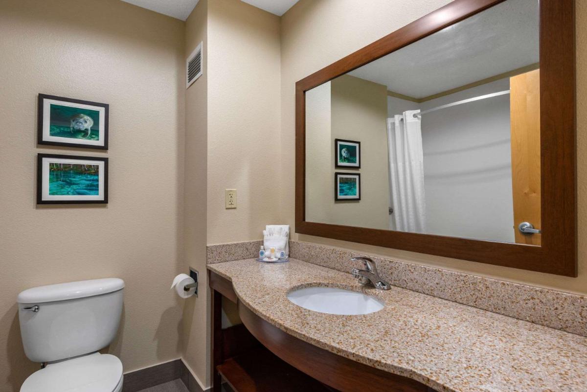 Comfort Inn & Suites Wildwood – The Villages - image 6