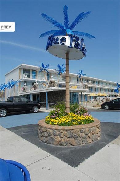 Blue Palms Resort - main image