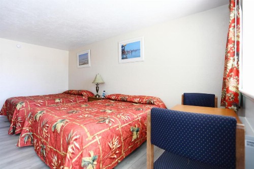 Stardust Motel - image 3