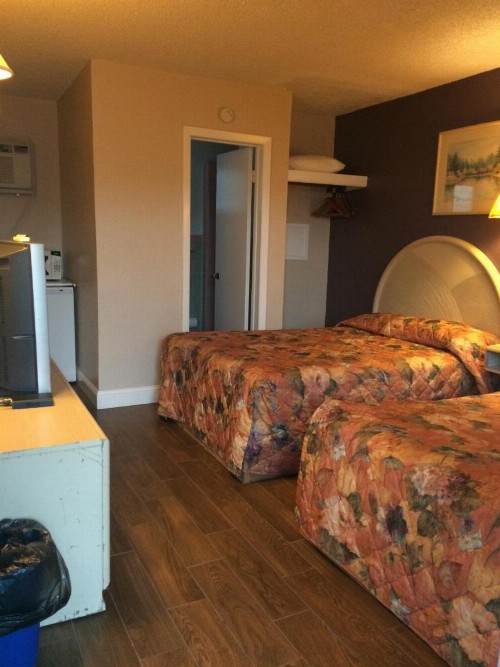 Royal Court Motel - image 40
