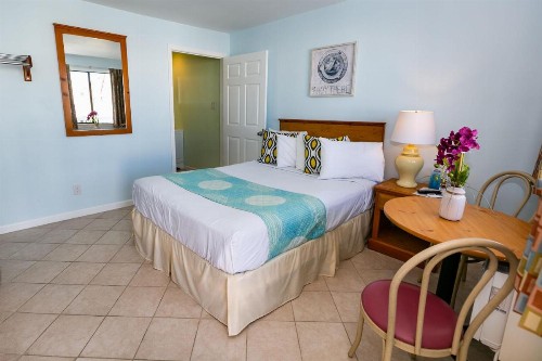 Daytona Inn and Suites - image 6