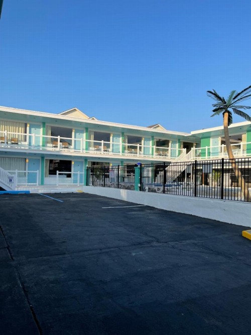 Mango Motel - image 22