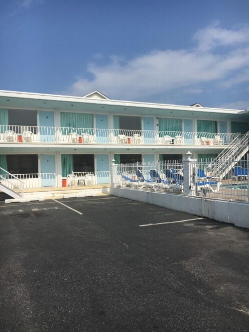 Mango Motel - image 23