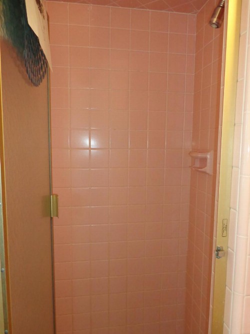 Fountain Motel - image 22