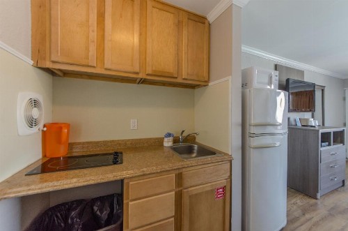 Dolphin Inn - image 19