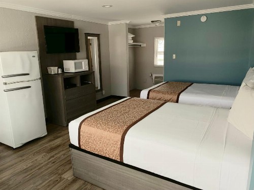Dolphin Inn - image 21