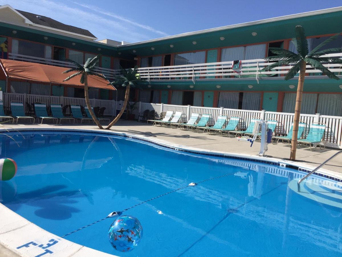 Dolphin Inn - image 3