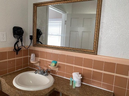 Dolphin Inn - image 38