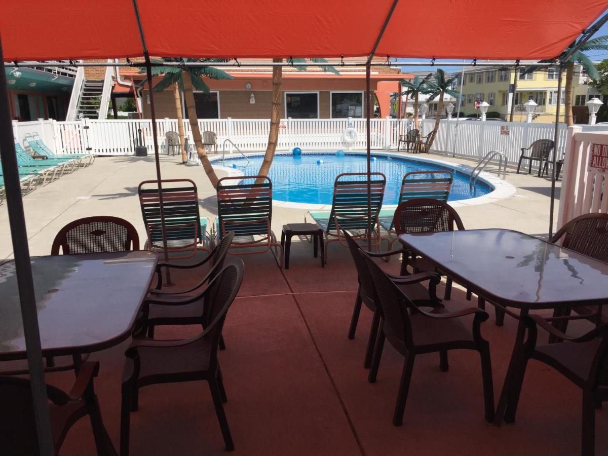 Dolphin Inn - image 4
