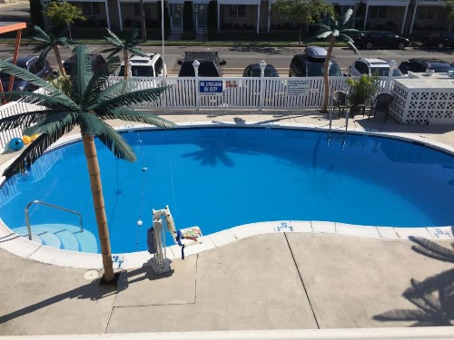 Dolphin Inn - image 6
