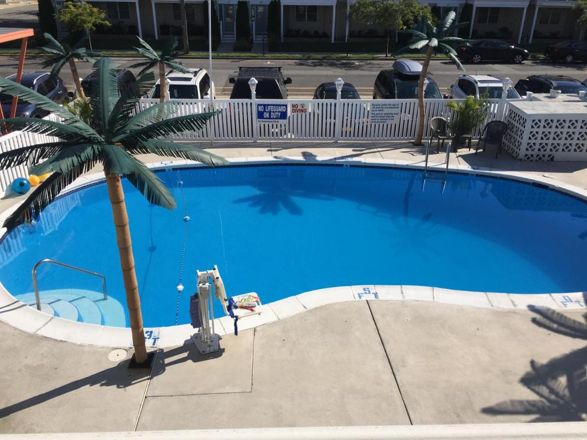 Dolphin Inn - image 6