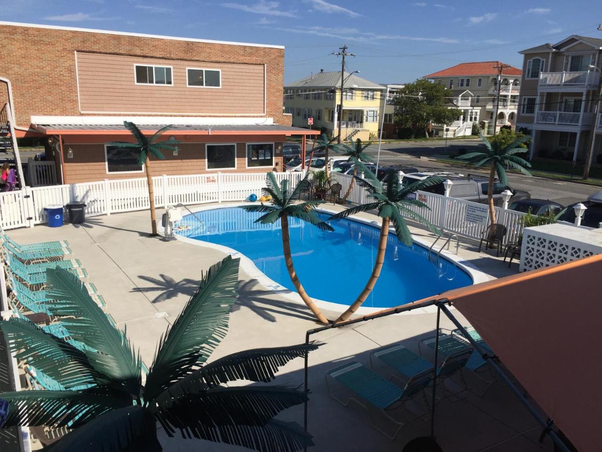 Dolphin Inn - image 7