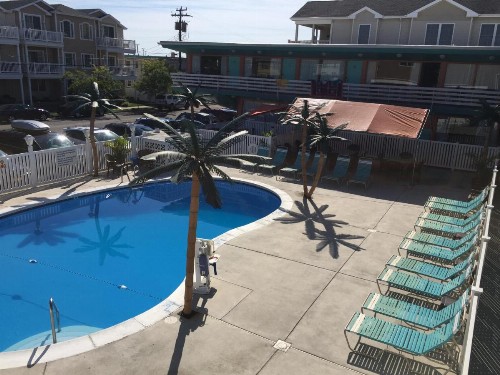 Dolphin Inn - image 9