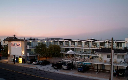Sea Gull Motel - image 5