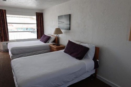 Pink Champagne Motel - image 24