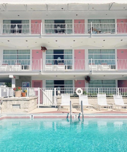 Pink Champagne Motel - image 39
