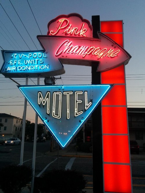Pink Champagne Motel - image 48