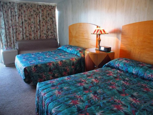 Suitcase Motel & Travel - image 38
