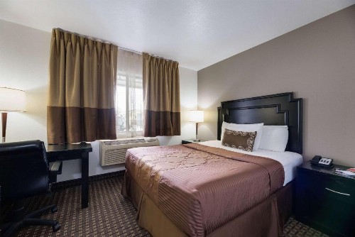 Econo Lodge Inn & Suites Williams - Grand Canyon Area - image 14