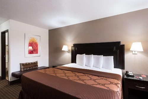 Econo Lodge Inn & Suites Williams - Grand Canyon Area - image 15