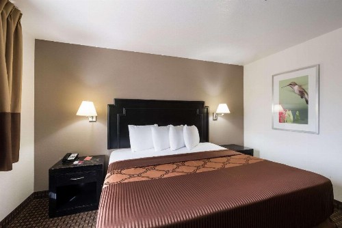 Econo Lodge Inn & Suites Williams - Grand Canyon Area - image 5