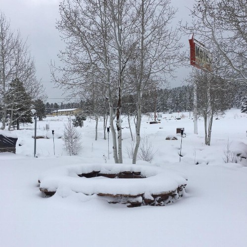 The Canyon Motel & RV Park - image 24