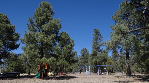 The Canyon Motel & RV Park - image 8