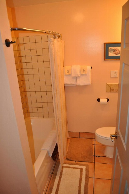 Grand Canyon Hotel - image 7