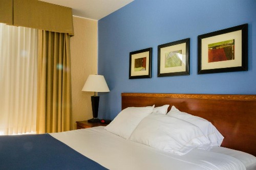 Holiday Inn Express Hotel & Suites Acme-Traverse City an IHG Hotel - image 26