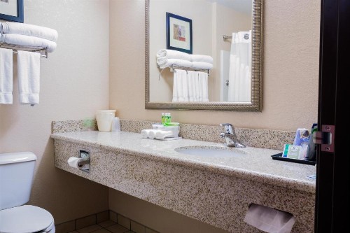 Holiday Inn Express Hotel & Suites Acme-Traverse City an IHG Hotel - image 6