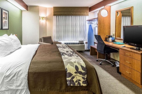 Sleep Inn & Suites Acme – Traverse City - image 17