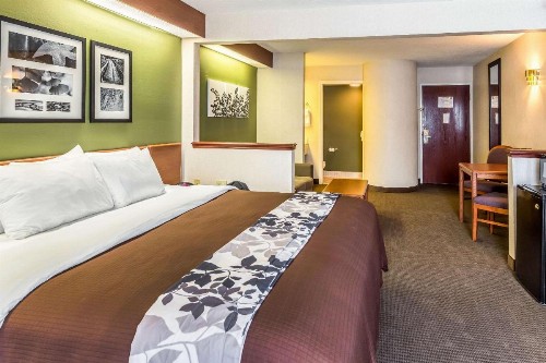 Sleep Inn & Suites Acme – Traverse City - image 26