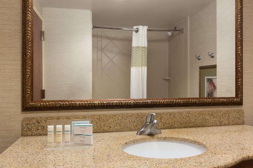 Hampton Inn & Suites Williamsburg Historic District - image 20
