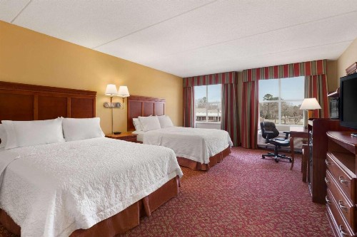 Hampton Inn & Suites Williamsburg Historic District - image 31