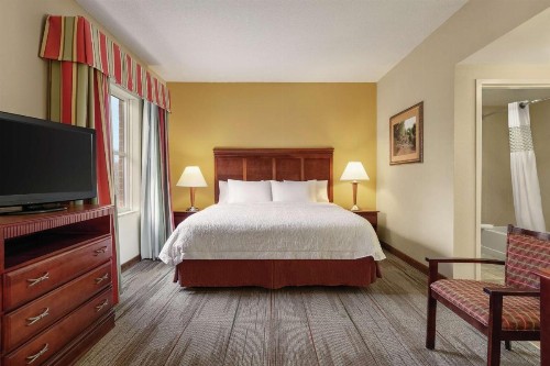 Hampton Inn & Suites Williamsburg Historic District - image 40