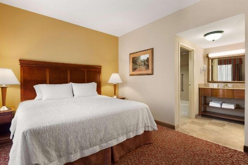 Hampton Inn & Suites Williamsburg Historic District - image 43
