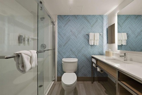 Hilton Garden Inn Williamsburg - image 36